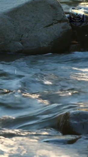 Eternal Hymns: French Gospel Praise and Worship Music