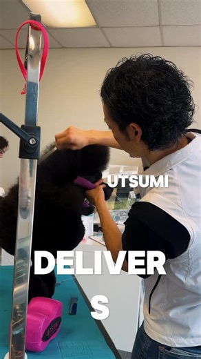 Utsumi Grooming on Instagram: "From fluffing to finishing, Utsumi combs handle it all with ease. 🐩 Handcrafted in Japan. Trusted by professionals worldwide. Follow @utsumi.grooming for all your high quality handmade Japanese grooming tools Share and tag a fellow groomer 🌸 #GroomingShears #GroomingCombs #UtsumiGrooming #UtsumiGrooming #UtsumiShears #UtsumiCombs #GroomingCombs #GroomingShears #MadeInJapan #CurvedShears"