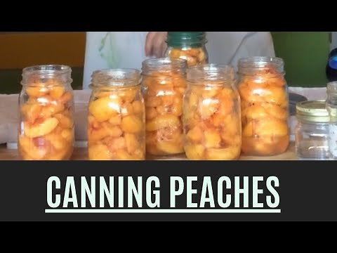 How To Can peaches in their own juice (steam juicing): Preserving Food