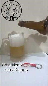 Toit Tint-in-Wit | Wit Beer | ABV - 4.6% | #beerblogger