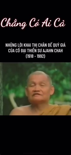 Những lời dạy của Thiền Sư Ajahn Chah #buddha #ajahnchah #phatgiaonguyenthuy #phatgiaotheravada