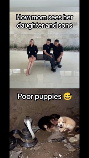 I'm laughing 😂🤣🤣🤣 #failgag #funny #dontlaught #memes #lol #hilariousfails #jokes #humor #comedy