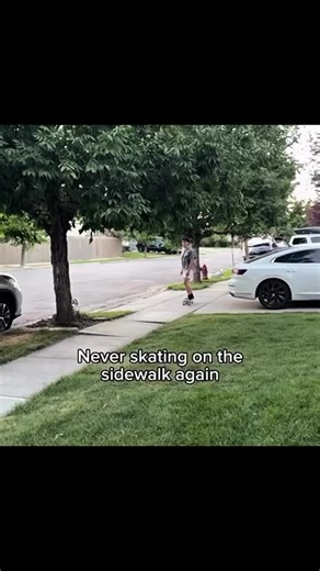 he went flying 😳 #memes #foryou #scream #chicken #fyp