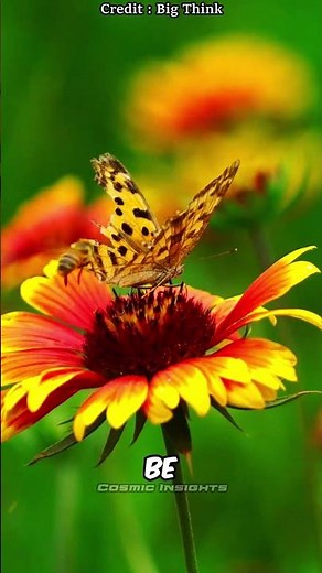 Butterfly Effect Explained | Michio Kaku