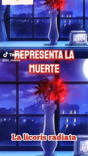 The Japanese flower that represents death 🇯🇵☠️. #headingtoanippon #japan #japaneseculture