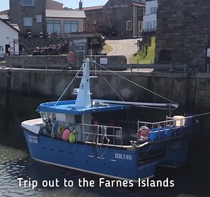 And this was only Monday... a little reminder of my visit to the Farne Islands this week with Billy Shiel Farne Islands Boats Serenity Boats Northumberland Nomad | The Coastal Custodian - Across Northumberland Coast & Country