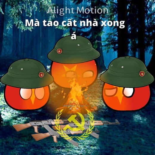 Mắt Bão #history #countryballs #vietnam
