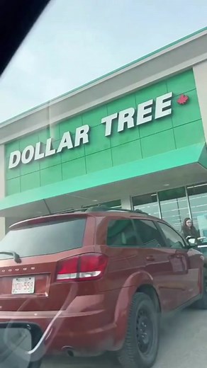 Dollartree.Hacks on TikTok