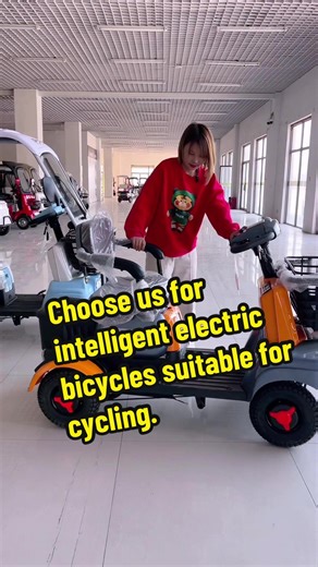 Intelligent Electric Bicycles for Eco-Friendly Cycling