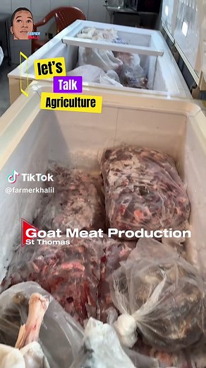 Goat Meat Production Techniques in St. Thomas