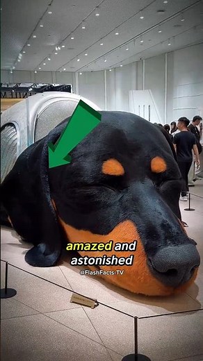 World's Largest Animatronic Dog Is Real! 🤖🐕