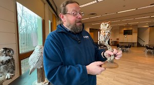 Wehr Nature Center raising awareness of Wisconsin owls