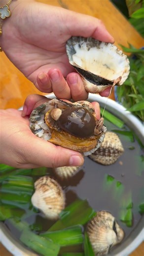 Sò Huyết Cồ Lacos Lá Dứa - Món Ngon Không Thể Bỏ Qua