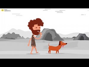 Why Do We Love Dogs?