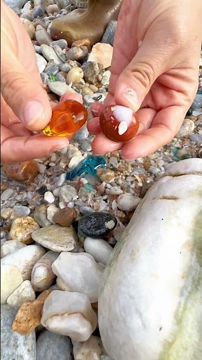 Giant Pearl Scallops vs. Freshwater Snails: Which Makes More Pearls?