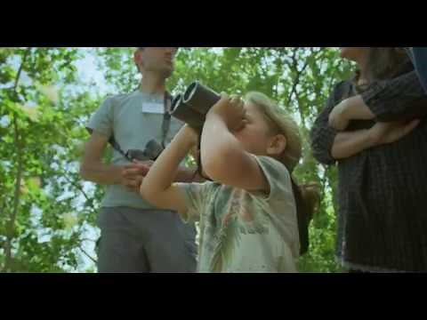 Attractions Naturelles - Vallée de la Drôme