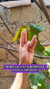 Mejora tu vista borrosa, ojos llorosos con éste ejercicio clave #vision #vistas #ojos #visionborrosa #paratiiiiiiiiiiiiiiiiiiiiiiiiiiiiiii #viralreelsシ #fypシ゚ | Tips y Consejos de Bienestar