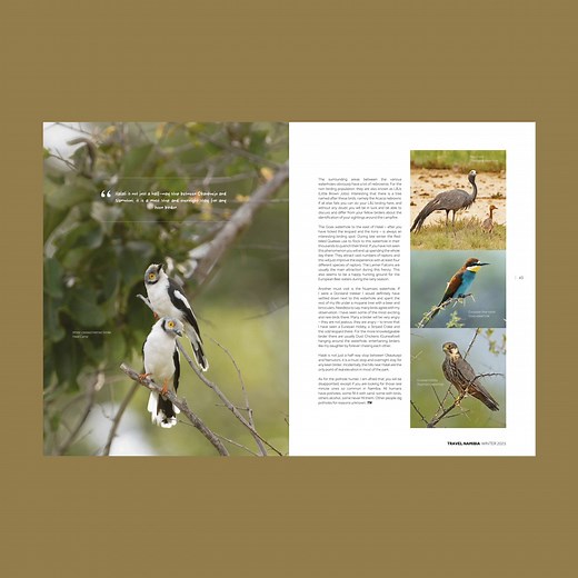 Enjoy the pages of our Winter 2025 issue with Etosha National Park as the star of the show! Read now: https://qrco.de/bg8gTE | Travel Namibia