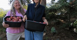 Native Foods Make A Comeback In Southwest