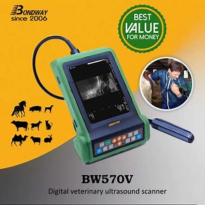 [Hot Item] Ultrasonido portátil para la reproducción de ganado bovino, operado a batería, escaneo de caballos y equinos en gestación
