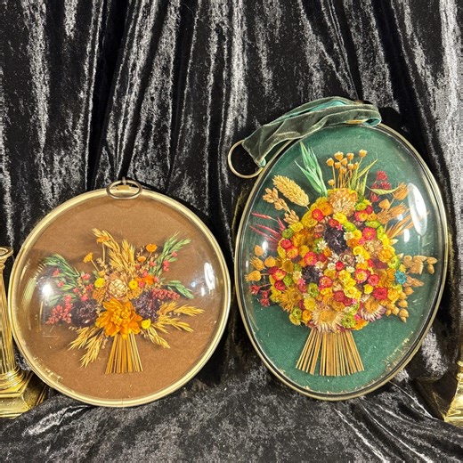 Vintage Dried Flower Display. Domed Glass Frames. Belgian Cideart. CHOICE - Etsy