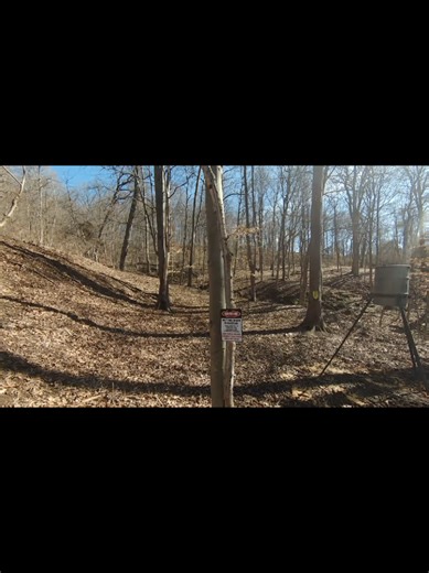 FPV drone. #deer #trails #hunting #followers➕ #everyone @Carpenter_Steve