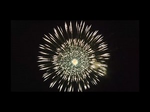 Compilation of EPIC Display Shells ! Maltese Cylindrical and Ball Shells, up to 27 inches!