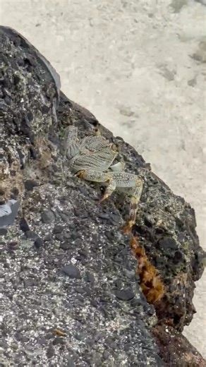 Kelly Ward on Reels | Facebook