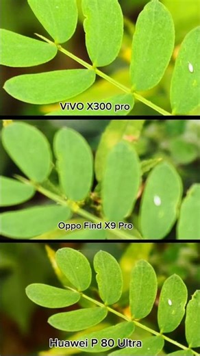 Ultimate Camera Battle Vivo x300 Pro Vs Huawei P 80 Ultra vs Oppo Find X9 Pro Photography Test Video