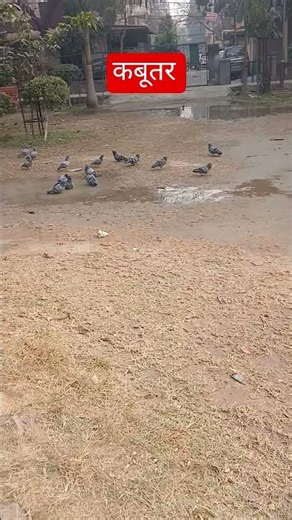 #foodie #love #motivation #sorts #funny #lifeisbutadream #food #trending #comedy #recipe #foodhumor