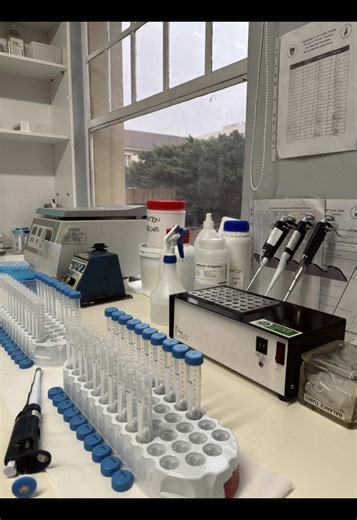 Celebrating Successful Science Experiments