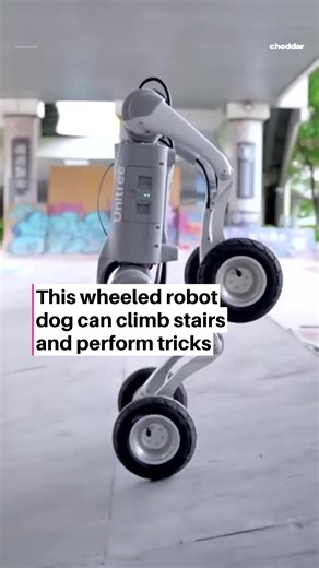 When your robot dog can roll, climb, and do tricks better than your real one. Last year, Chinese robotics company Unitree impressed us with its $1,600 second-generation robot dog, showcasing circus tricks and GPT chat capabilities. Now, they’ve introduced an all-terrain upgrade called the Go2-W. This new model features motorized wheels with 7-inch pneumatic tires, enabling it to glide over flat surfaces and handle minor bumps. Plus, it can lock its wheels to walk over rough terrain, climb stairs