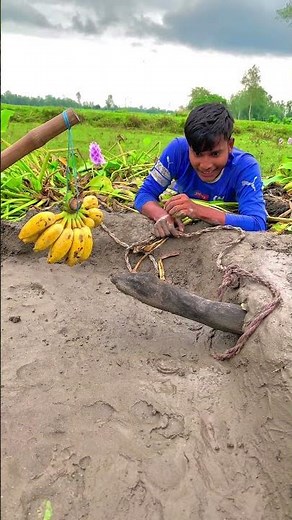 Method of catching snakes with bananas