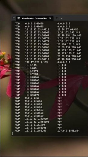 List All Active Connections with netstat #PenTesting #CyberSecurity #Windows #EthicalHacking