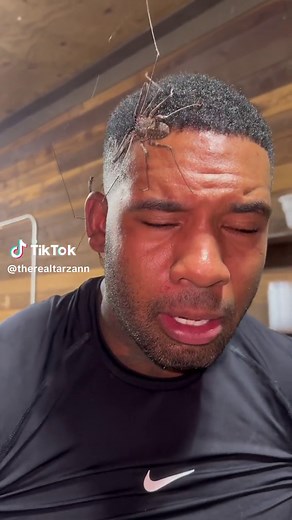 Mysterious Crawling Sensation On Face - Scorpion Encounter While Asleep!