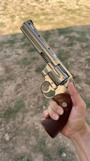 Colt Python 357 ไม่ยิงนะครับไม่มีเงินซื้อลูก😂 #coltpython #colt #revolver #pkshooting