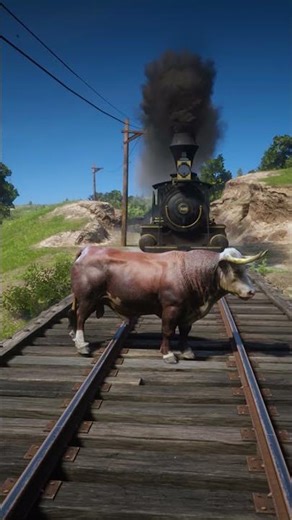 Survival Skill in Red Dead Redemption 2 P 1311 #rdr2 #gaming #shorts