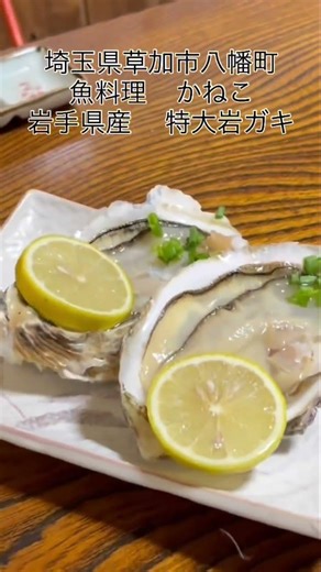 埼玉県草加市八幡町 魚料理かねこ 岩手県産 特大岩ガキ