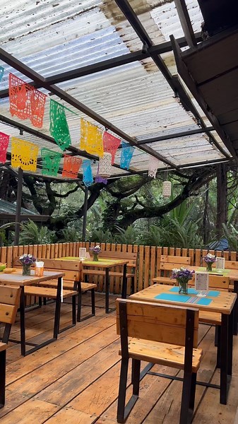 Review Addis on Instagram: "The best place for dating in Addis 📍La morena 📌 ሳርቤት ኪንግስ ሆቴል ገባ ብሎ (use google maps) 🍽️ Beef burrito 517 💵 🍽️ Taco 470 💵 #ethiopianwomen #explore #réel #habesha #mexico #lamorena #ethiopiancoffee #foryou #love"