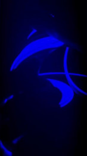 Tira Neon Flex LED Azul 5m | Conexión Directa 127V | IP65 Exterior