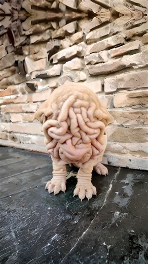 617K views · 2.6K reactions | Shar Pei 樂 The Truth About Those Skin Folds! | 1 Minute Animals Today, we're delving into the Shar Pei, the unique dog breed known for its adorable skin folds. But what's the deal with those wrinkles? Discover the fascinating truth behind this distinctive feature and more about the charming Shar Pei in just 60 seconds. #SharPei #SharPeiDog #SharPeiLife #SharPeiPuppy #SharPeiClub #sharpeisofinstagram | 1 Minute Animals | Facebook