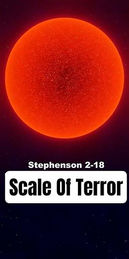 SUN is a Speck and So Are We !