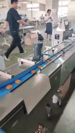 Fully Automatic Cookie Packing Line | Horizontal Flow Wrapper with Inline Feeding System #packing