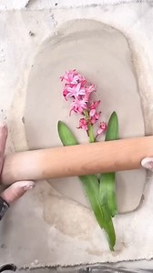 1.3M views · 17K reactions |  Happy Spring Equinox!  Marking the...