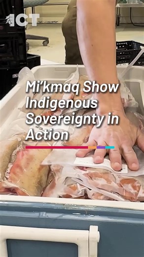 What began as a small community garden in northwestern Maine has grown into a thriving 30-acre farm — complete with greenhouses, a trout hatchery, orchards, and solar power. Learn more at https://ow.ly/eaea50XhKAF ✍️ Reported by Stewart Huntington #ICTnews #Nativenews Mi'kmaq Farms & Fish Hatchery | Indian Country Today