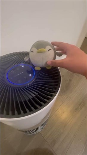 Explanation in the description