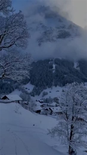 3.8K views · 240 reactions | A good morning text can set the tone for your entire day. It can boost your mood, increase your productivity, and improve your overall well-being. So, make it a habit to send a positive message to someone you care about each morning. You never know how much it could mean to them. #positivevibes #goodmorning #inspiration #love #relationship #couple #partner #friendship #family #happiness #positiveenergy #gratitude #idrivemotivation | I_drive_motivation | Facebook