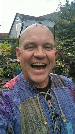 Bonsai pflegen, gestalten und Hilfe erhalten