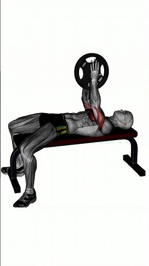 Plate Bench Press - Perfect Form Guide #shorts