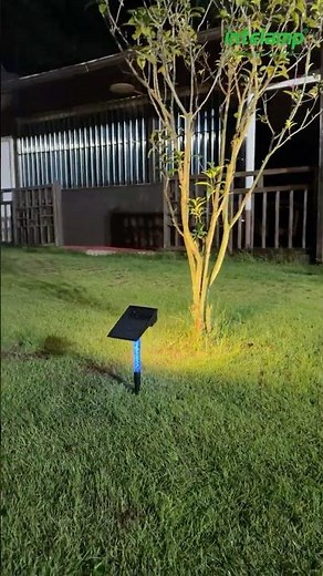 Solar garden light outdoor #intelamp #solarlight #solarpower #garden